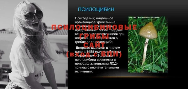прущие грибы Надым