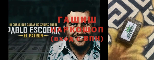 индика Алагир