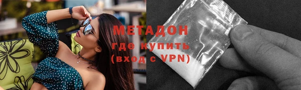 прущие грибы Надым