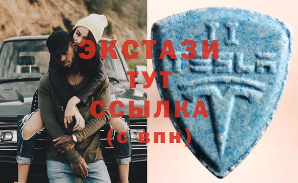 прущие грибы Надым