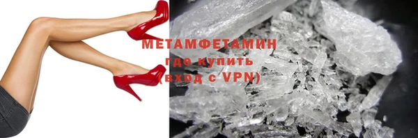 прущие грибы Надым