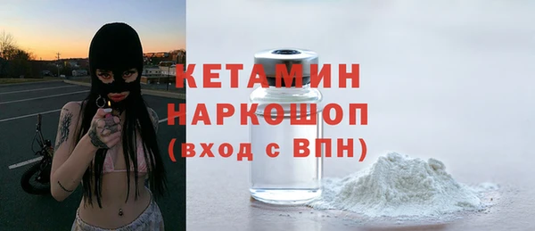 прущие грибы Надым