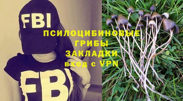 прущие грибы Надым