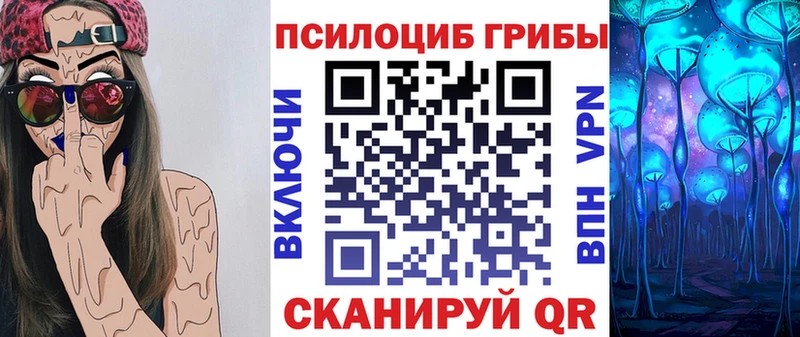 Галлюциногенные грибы Psilocybe  гидра онион  Подпорожье 